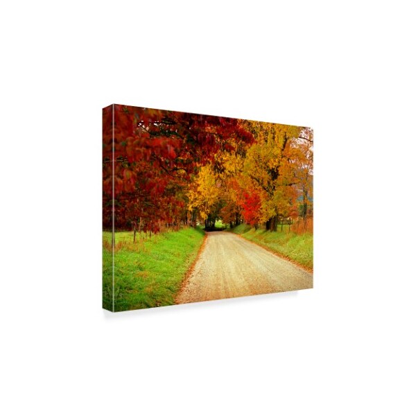 J.D. Mcfarlan 'Sparks Lane, Tn' Canvas Art,24x32